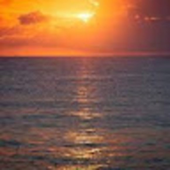 Meet your Posher, James - Picture 1 of 1